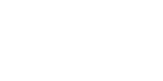 tech partner logo