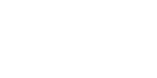 tech partner logo